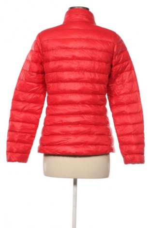 Dámská bunda  Darling Harbour, Velikost M, Barva Červená, Cena  549,00 Kč
