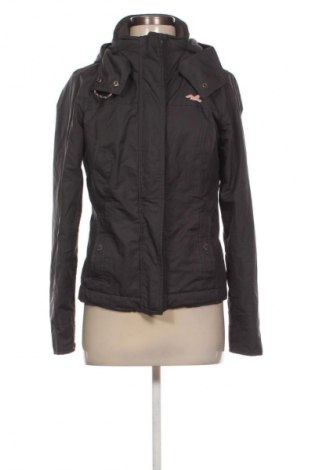 Γυναικείο μπουφάν Hollister, Μέγεθος S, Χρώμα Γκρί, Τιμή 12,99 €