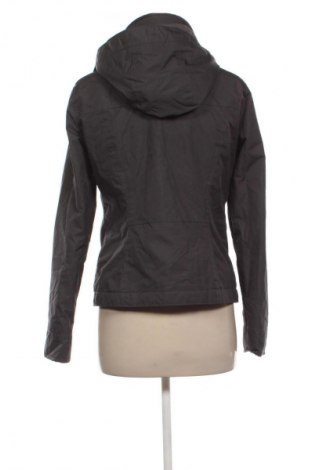Γυναικείο μπουφάν Hollister, Μέγεθος S, Χρώμα Γκρί, Τιμή 12,99 €