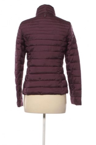 Dámská bunda  S.Oliver, Velikost S, Barva Fialová, Cena  419,00 Kč