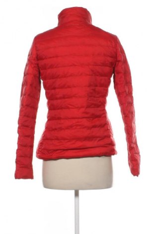 Γυναικείο μπουφάν Tommy Hilfiger, Μέγεθος M, Χρώμα Κόκκινο, Τιμή 119,99 €