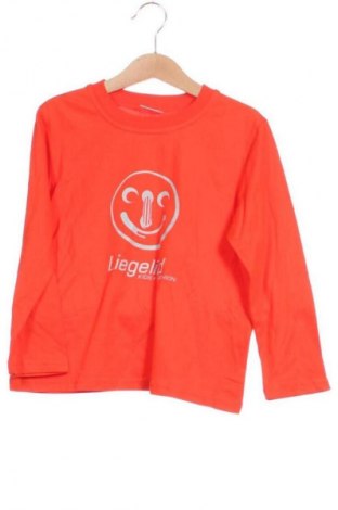 Detská blúzka  Liegelind, Veľkosť 3-4y/ 104-110 cm, Farba Oranžová, Cena  1,95 €