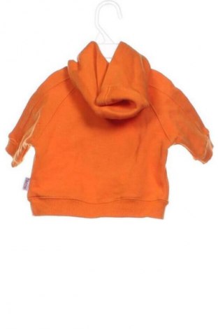 Detská blúzka  Schnizler, Veľkosť 3-6m/ 62-68 cm, Farba Oranžová, Cena  1,95 €