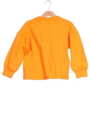 Detská blúzka  Sinsay, Veľkosť 3-4y/ 104-110 cm, Farba Oranžová, Cena  9,00 €