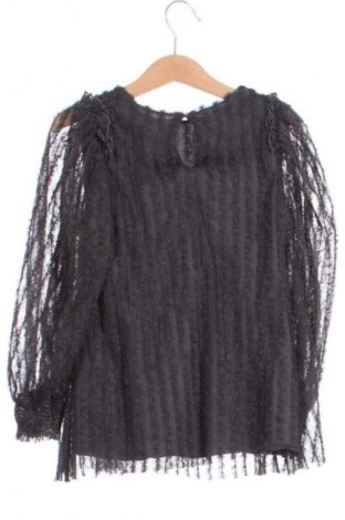 Детска блуза Zara, Размер 5-6y/ 116-122 см, Цвят Сив, Цена 5,62 €