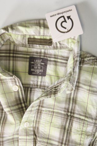 Kinderhemd H&M L.O.G.G., Größe 5-6y/ 116-122 cm, Farbe Grün, Preis € 2,99
