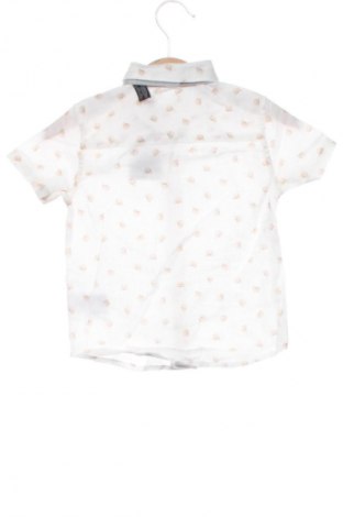 Kinderhemd Next, Größe 12-18m/ 80-86 cm, Farbe Mehrfarbig, Preis 21,99 €