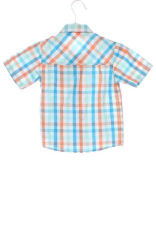 Kinderhemd Pepco, Größe 9-12m/ 74-80 cm, Farbe Mehrfarbig, Preis € 4,80