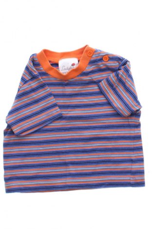 Kinder T-Shirt Ladybird, Größe 3-6m/ 62-68 cm, Farbe Mehrfarbig, Preis 1,99 €