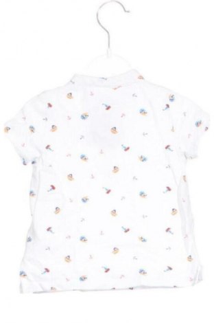 Kinder T-Shirt Pepco, Größe 12-18m/ 80-86 cm, Farbe Mehrfarbig, Preis € 1,99