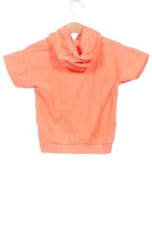 Kinder T-Shirt Unbranded, Größe 2-3y/ 98-104 cm, Farbe Orange, Preis € 5,00