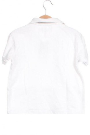 Kinder T-Shirt Zara, Größe 5-6y/ 116-122 cm, Farbe Weiß, Preis € 1,99