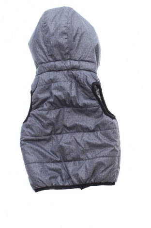 Παιδικό γιλέκο H&M, Μέγεθος 6-9m/ 68-74 εκ., Χρώμα Πολύχρωμο, Τιμή 7,99 €