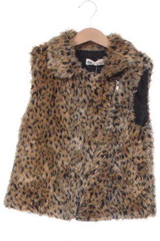 Παιδικό γιλέκο H&M, Μέγεθος 10-11y/ 146-152 εκ., Χρώμα Πολύχρωμο, Τιμή 6,99 €