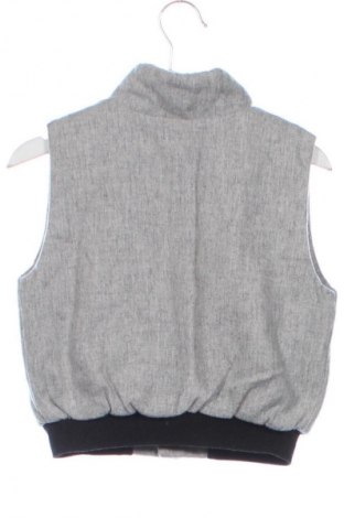 Παιδικό γιλέκο Unbranded, Μέγεθος 2-3y/ 98-104 εκ., Χρώμα Γκρί, Τιμή 10,99 €