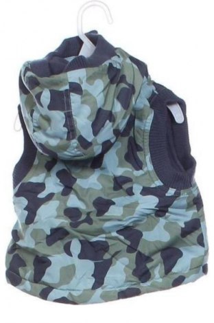Παιδικό γιλέκο Unbranded, Μέγεθος 3-6m/ 62-68 εκ., Χρώμα Πολύχρωμο, Τιμή 8,99 €