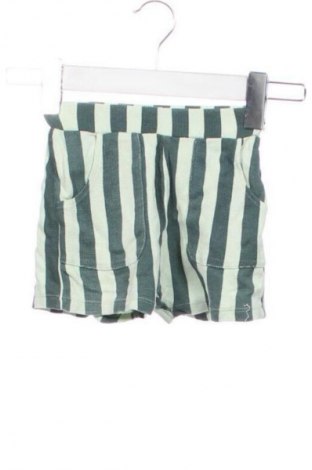 Kinder Shorts LCW, Größe 12-18m/ 80-86 cm, Farbe Mehrfarbig, Preis 13,60 €