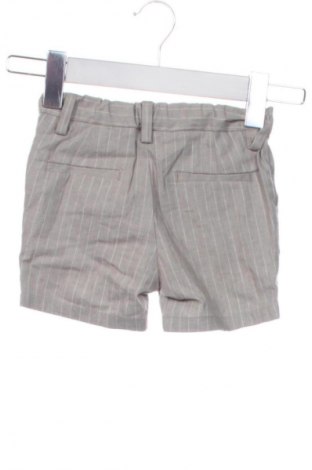 Kinder Shorts Next, Größe 12-18m/ 80-86 cm, Farbe Mehrfarbig, Preis 16,99 €