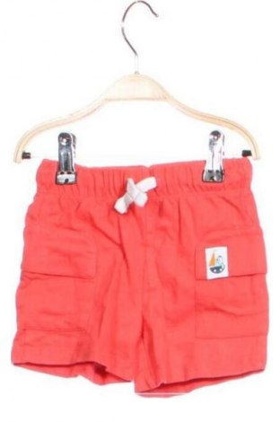 Kinder Shorts Pepco, Größe 9-12m/ 74-80 cm, Farbe Rot, Preis € 2,99