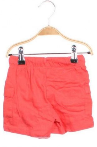 Kinder Shorts Pepco, Größe 9-12m/ 74-80 cm, Farbe Rot, Preis € 2,99