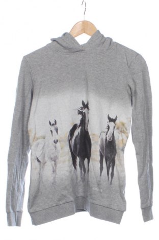 Kinder Sweatshirts Page One, Größe 15-18y/ 170-176 cm, Farbe Grau, Preis € 8,99, #135433544
