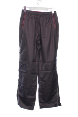 Dziecięce spodnie sportowe Crane, Rozmiar 12-13y/ 158-164 cm, Kolor Szary, Cena 11,99 zł