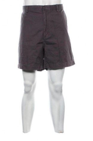 Herren Shorts Amazon Essentials, Größe XL, Farbe Grau, Preis 10,99 €