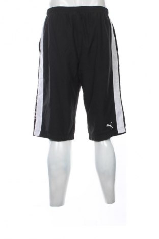 Herren Shorts PUMA, Größe L, Farbe Schwarz, Preis € 11,99