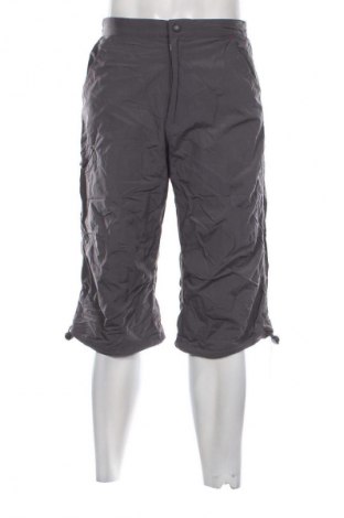 Pánské kraťasy TCM, Velikost L, Barva Šedá, Cena  129,00 Kč