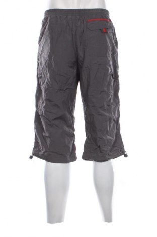 Pánské kraťasy TCM, Velikost L, Barva Šedá, Cena  129,00 Kč