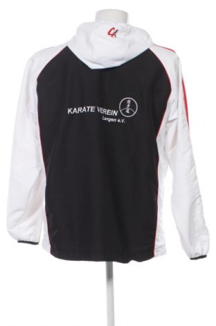 Pánska mikina  Unbranded, Veľkosť L, Farba Viacfarebná, Cena  6,95 €