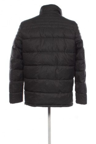 Męska kurtka Casa Moda, Rozmiar L, Kolor Szary, Cena 200,99 zł