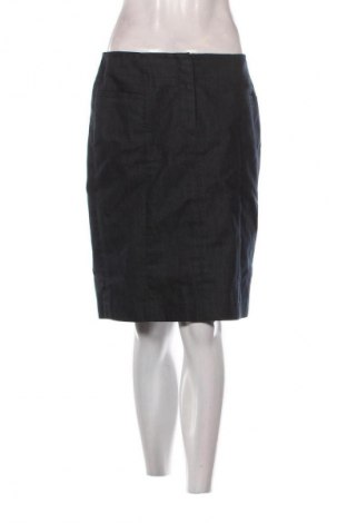 Φούστα Ann Taylor, Μέγεθος M, Χρώμα Μπλέ, Τιμή 11,99 €