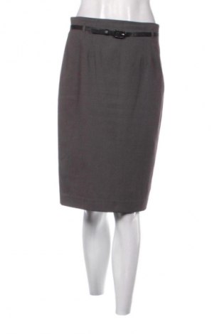 Φούστα Ann Taylor, Μέγεθος M, Χρώμα Γκρί, Τιμή 23,99 €