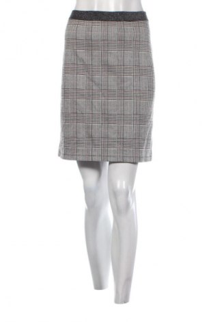 Sukňa Betty Barclay, Veľkosť L, Farba Viacfarebná, Cena  1,95 €