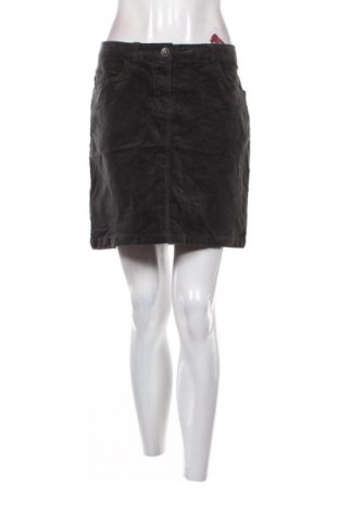 Φούστα Blue Motion, Μέγεθος XL, Χρώμα Γκρί, Τιμή 5,99 €