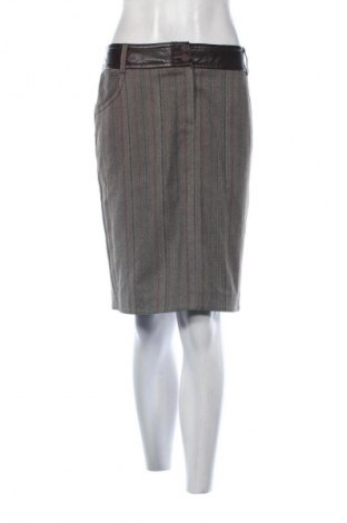 Φούστα Danini, Μέγεθος L, Χρώμα Πολύχρωμο, Τιμή 10,99 €