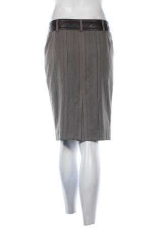 Φούστα Danini, Μέγεθος L, Χρώμα Πολύχρωμο, Τιμή 10,99 €