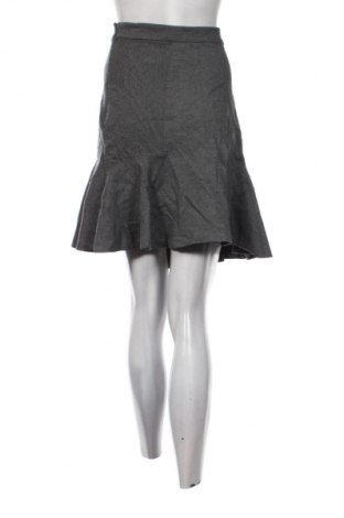 Φούστα Diane Von Furstenberg, Μέγεθος L, Χρώμα Γκρί, Τιμή 95,99 €