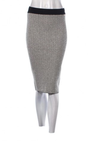 Φούστα Elisabetta Franchi, Μέγεθος S, Χρώμα Πολύχρωμο, Τιμή 73,99 €