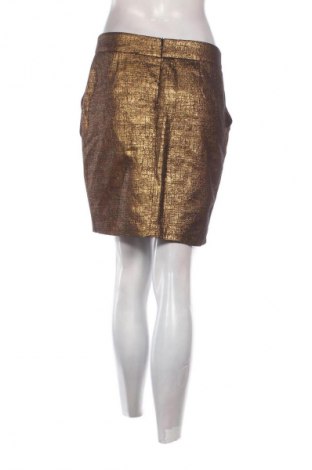 Fustă Pimkie, Mărime L, Culoare Multicolor, Preț 23,99 Lei