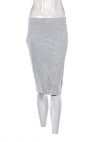 Φούστα SHEIN, Μέγεθος L, Χρώμα Γκρί, Τιμή 5,99 €