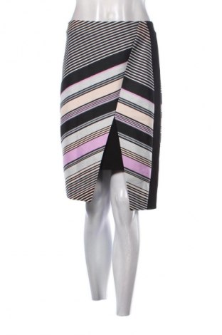 Φούστα Ted Baker, Μέγεθος M, Χρώμα Πολύχρωμο, Τιμή 28,99 €