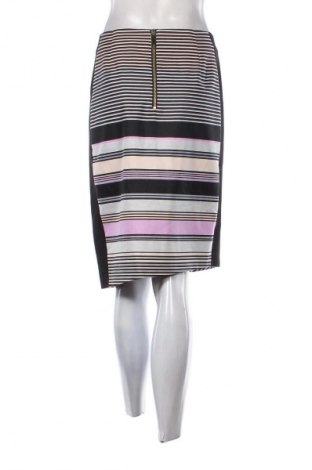 Φούστα Ted Baker, Μέγεθος M, Χρώμα Πολύχρωμο, Τιμή 28,99 €