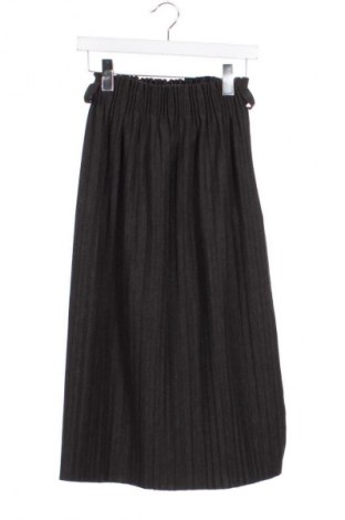 Fustă Unbranded, Mărime XXS, Culoare Gri, Preț 29,99 Lei