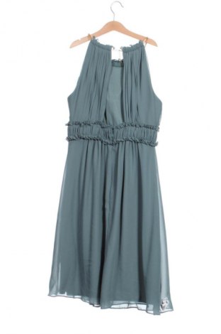 Kleid Jake*s, Größe S, Farbe Grün, Preis 21,99 €