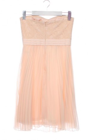 Kleid Jake*s, Größe XS, Farbe Mehrfarbig, Preis 32,99 €