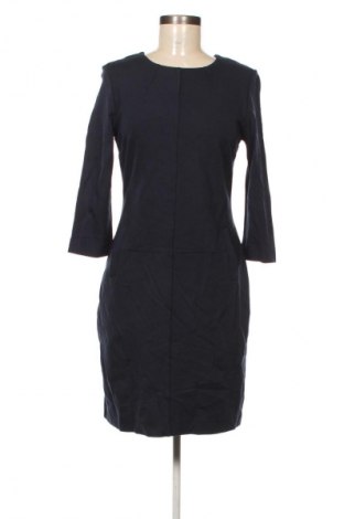 Kleid Kocca, Größe M, Farbe Blau, Preis 3,99 €