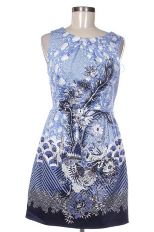 Φόρεμα Oasis, Μέγεθος M, Χρώμα Πολύχρωμο, Τιμή 13,99 €