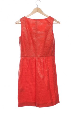 Φόρεμα Penny Black, Μέγεθος M, Χρώμα Πορτοκαλί, Τιμή 50,99 €